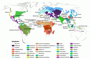Malaria mosquito vector map CDC