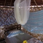 Bednet at Vanuatu backpacker hut.